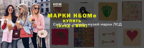 хмурый Абаза