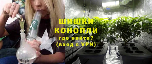 хмурый Абаза