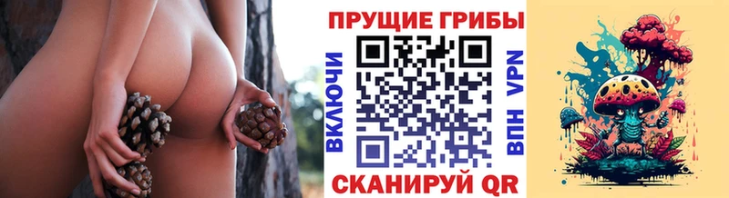 Галлюциногенные грибы MAGIC MUSHROOMS  Поворино 
